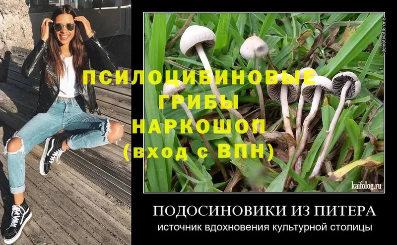 Галлюциногенные грибы Cubensis  Нефтекамск 